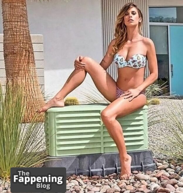 Elisabetta Canalis Nude Sexy Collection 116 Foto TheFappening