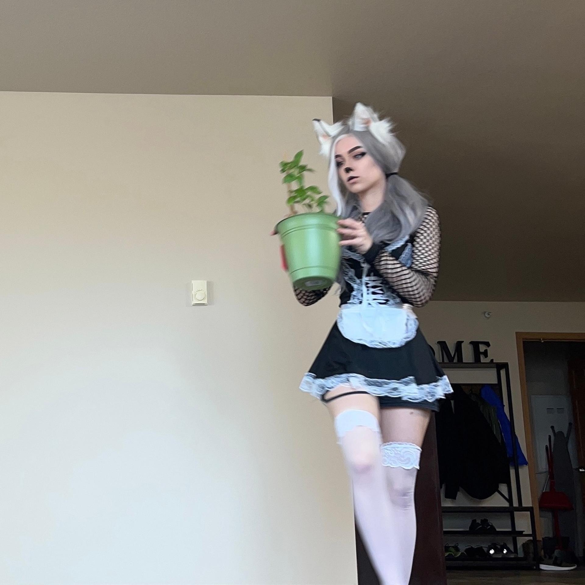 Awkspew_roo2 / lilith zulaykha / omw2fyd Perdite Nude OnlyFans 1