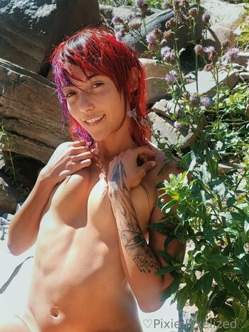 PixiePixelized Leak Nudi Foto 24