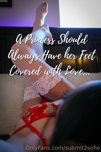 submit2sofie / slayerofliarsandscammers2.0 Leak Nudi OnlyFans Foto 10