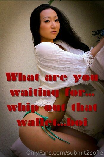 submit2sofie / slayerofliarsandscammers2.0 Leak Nudi OnlyFans Foto 32