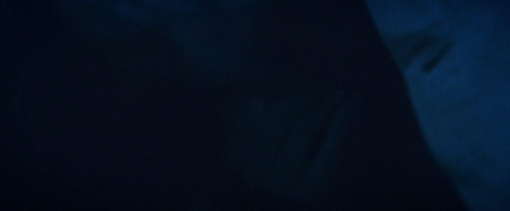 Morgan Saylor Nude 58